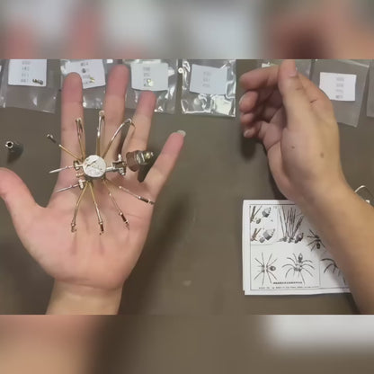 Spider DIY Kit - Style C Classic Spider - Mechanical Model Kit