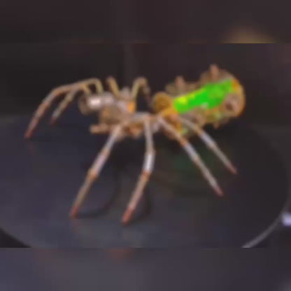 Spider DIY Kit - Style E Night Vision Spider - Mechanical Model Kit