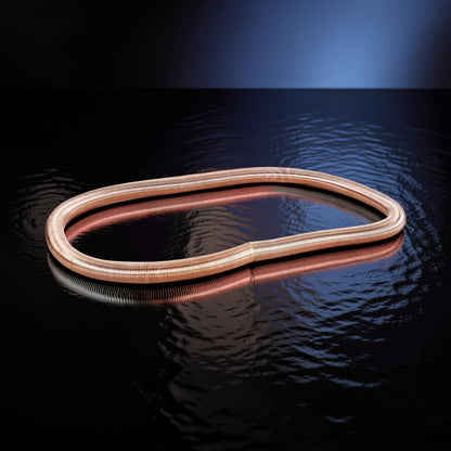 The Curious Mind Electromagnetic Train Puzzle Toy, a copper-colored metal spring in an oval shape on a reflective black surface.